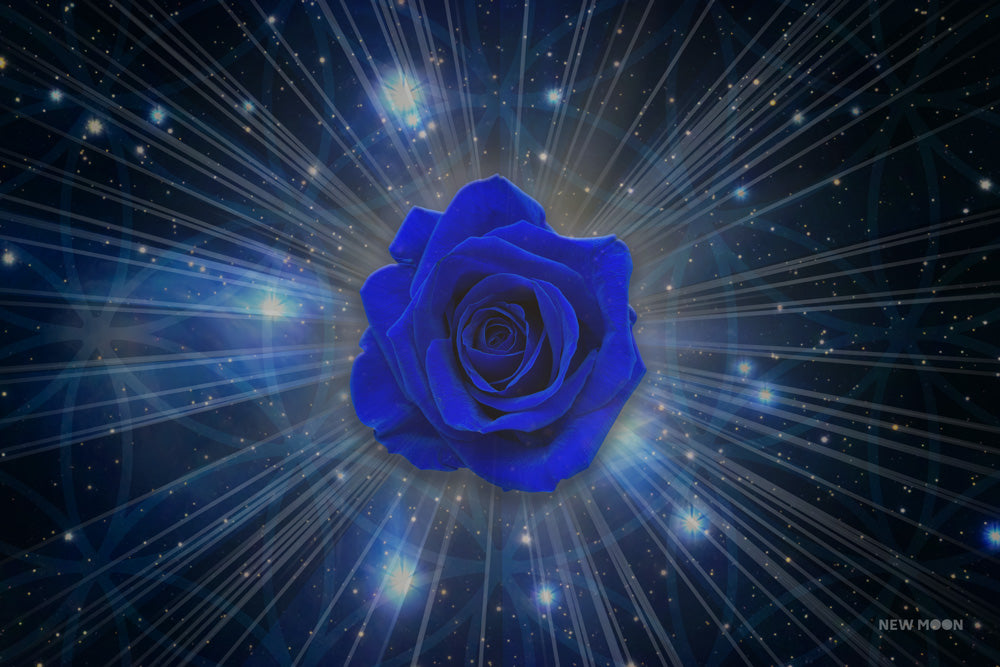 The Pleiadean Blue Rose | David Essery - New Moon Art